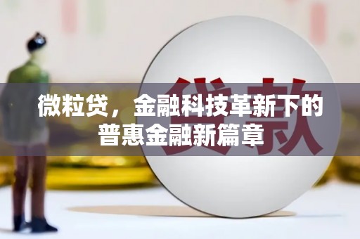 银川微粒贷，金融科技革新下的普惠金融新篇章