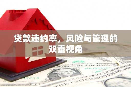 银川贷款违约率，风险与管理的双重视角
