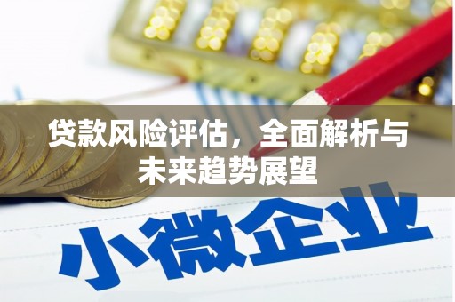 银川贷款风险评估，全面解析与未来趋势展望