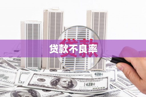 银川贷款不良率