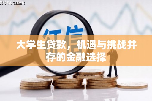 银川大学生贷款，机遇与挑战并存的金融选择