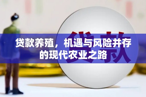 银川贷款养殖，机遇与风险并存的现代农业之路