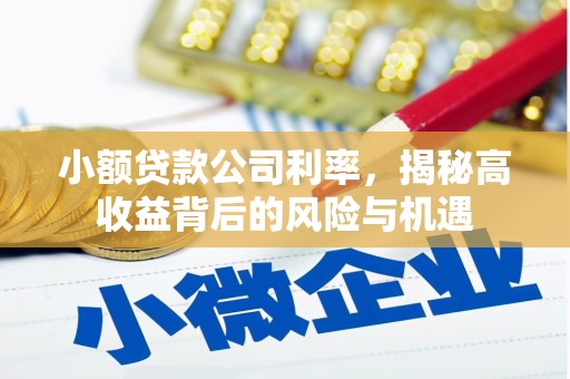 银川小额贷款公司利率，揭秘高收益背后的风险与机遇