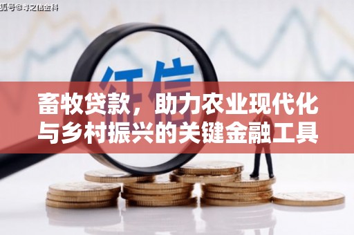 银川畜牧贷款，助力农业现代化与乡村振兴的关键金融工具