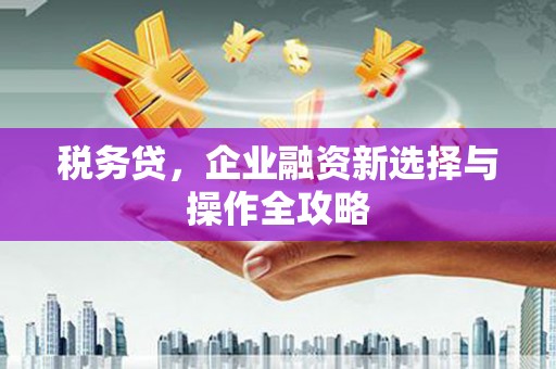 银川税务贷，企业融资新选择与操作全攻略
