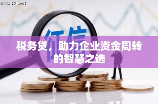 银川税务贷，助力企业资金周转的智慧之选