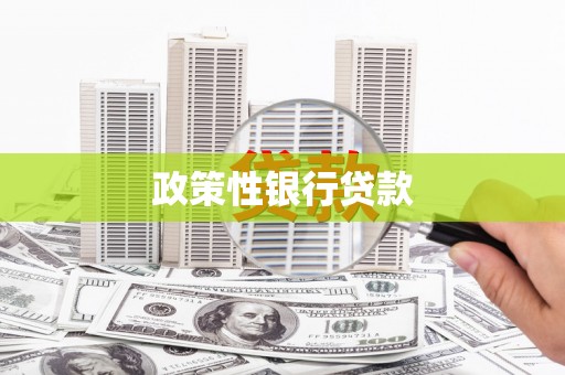 银川政策性银行贷款