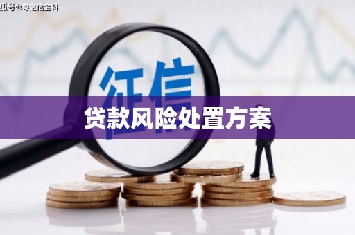 银川贷款风险处置方案