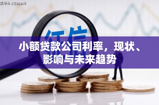 银川小额贷款公司利率，现状、影响与未来趋势