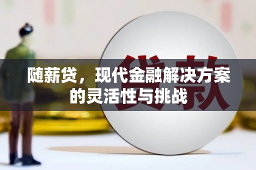 银川随薪贷，现代金融解决方案的灵活性与挑战