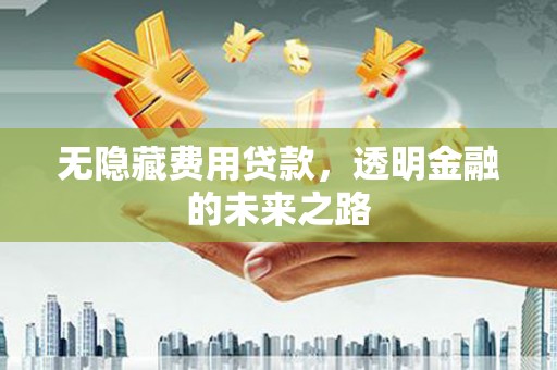 银川无隐藏费用贷款，透明金融的未来之路