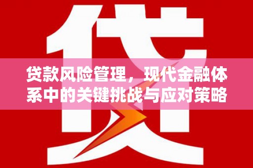 银川贷款风险管理，现代金融体系中的关键挑战与应对策略