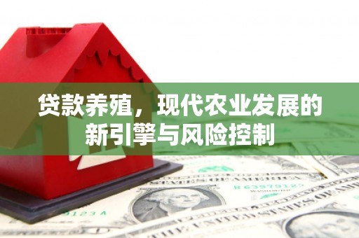 银川贷款养殖，现代农业发展的新引擎与风险控制