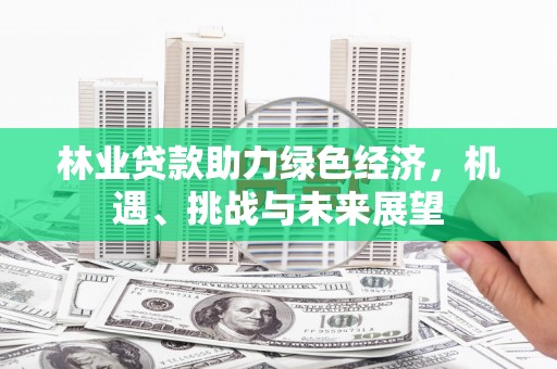 银川林业贷款助力绿色经济，机遇、挑战与未来展望