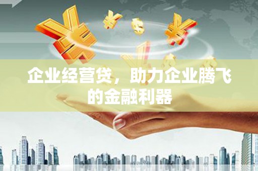 银川企业经营贷，助力企业腾飞的金融利器