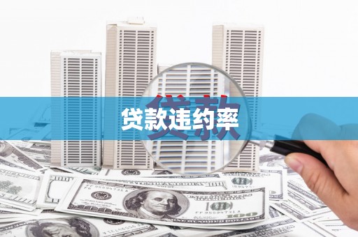 银川贷款违约率