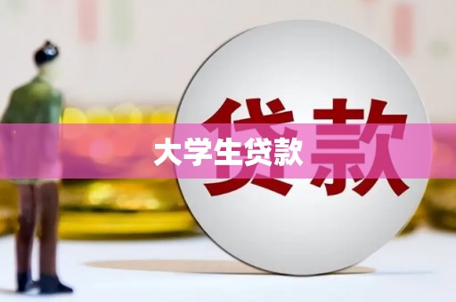 银川大学生贷款
