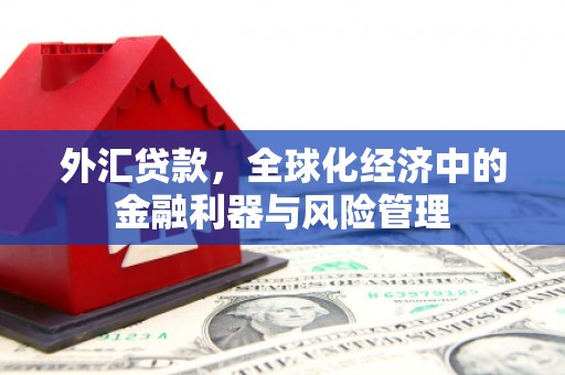 银川外汇贷款，全球化经济中的金融利器与风险管理