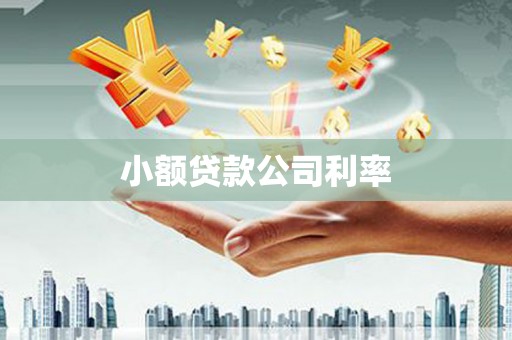 银川小额贷款公司利率