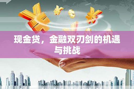 银川现金贷，金融双刃剑的机遇与挑战