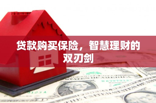 银川贷款购买保险，智慧理财的双刃剑