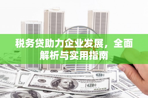 银川税务贷助力企业发展，全面解析与实用指南