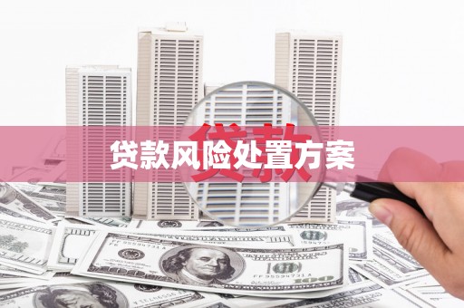 银川贷款风险处置方案