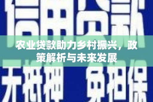 银川农业贷款助力乡村振兴，政策解析与未来发展