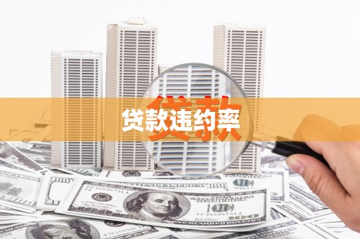 银川贷款违约率