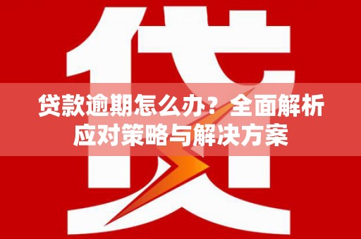 银川贷款逾期怎么办？全面解析应对策略与解决方案