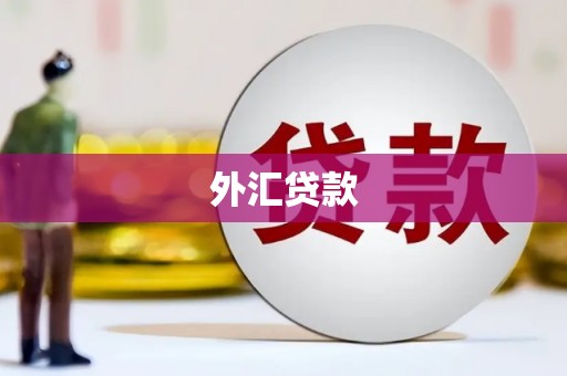 银川外汇贷款