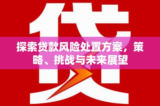 银川探索贷款风险处置方案，策略、挑战与未来展望
