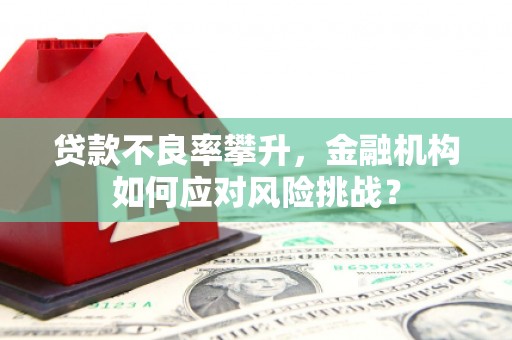 银川贷款不良率攀升，金融机构如何应对风险挑战？
