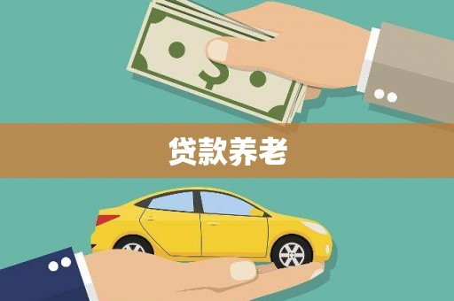 银川贷款养老