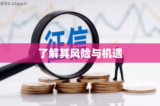 银川了解其风险与机遇