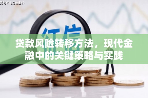 银川贷款风险转移方法，现代金融中的关键策略与实践