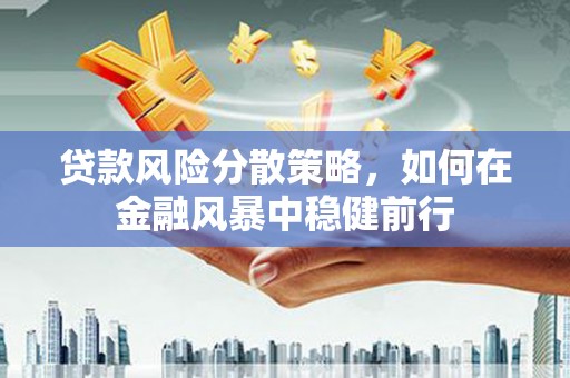 银川贷款风险分散策略，如何在金融风暴中稳健前行