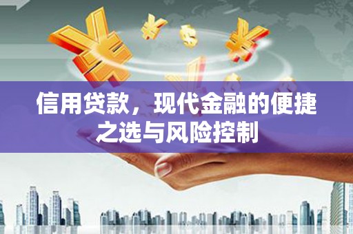 银川信用贷款，现代金融的便捷之选与风险控制