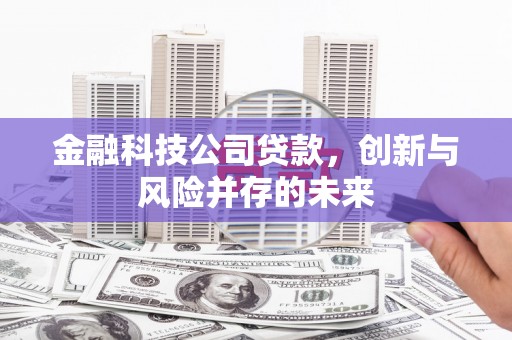 银川金融科技公司贷款，创新与风险并存的未来