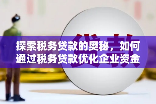 银川探索税务贷款的奥秘，如何通过税务贷款优化企业资金流