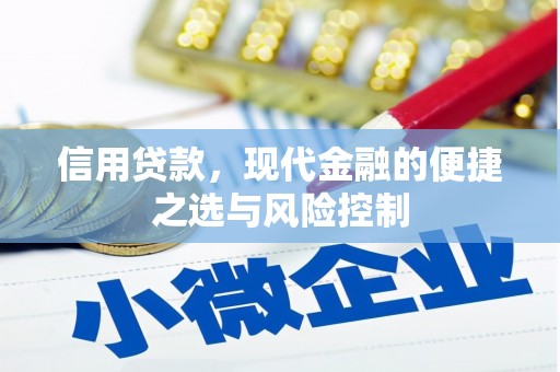 银川信用贷款，现代金融的便捷之选与风险控制