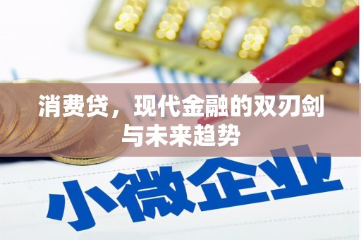 银川消费贷，现代金融的双刃剑与未来趋势