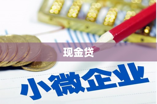 银川现金贷