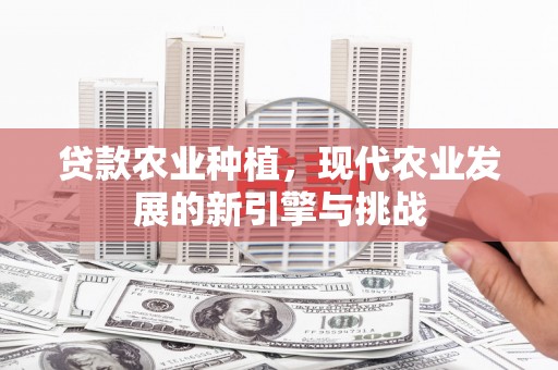 银川贷款农业种植，现代农业发展的新引擎与挑战