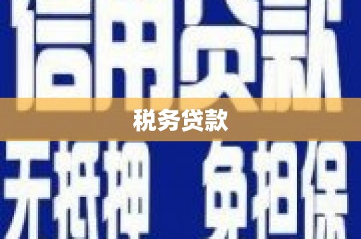 银川税务贷款