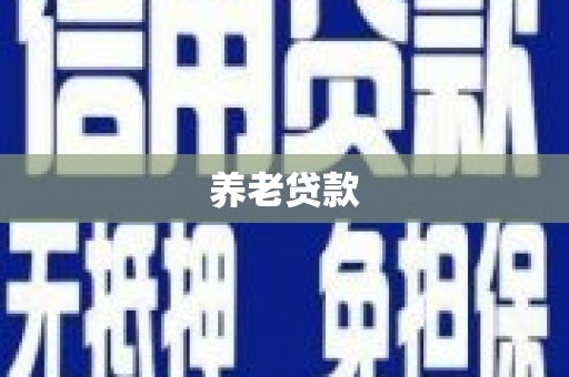 银川养老贷款