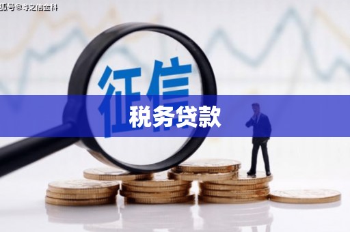 银川税务贷款