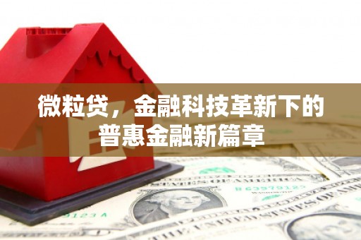 银川微粒贷，金融科技革新下的普惠金融新篇章