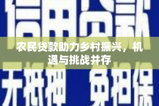 银川农民贷款助力乡村振兴，机遇与挑战并存