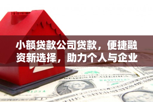 银川小额贷款公司贷款，便捷融资新选择，助力个人与企业成长